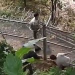 妙瓦底第一勇士骑摩托回国自首-博彩社区-博彩技巧-博彩论坛网